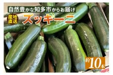 ズッキーニ ／ 野菜 ウリ科 ビタミンC 愛知県