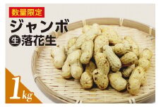 ジャンボ生落花生　1kg