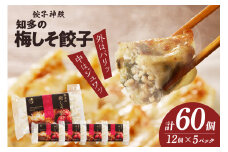 知多の梅しそ餃子