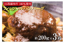 A5等級和牛100％　肉や大善スペシャルハンバーグ（2116）