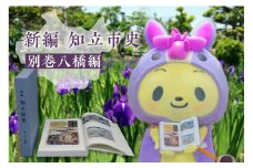 [№99-0613]新編知立市史　別巻八橋編