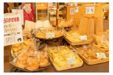 メープルけやき商品券500円×6枚　（1180）
