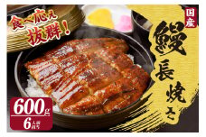 国産特大うなぎ長焼き３尾(約２００ｇ)　合計約６００ｇ（1664）