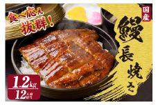 国産特大うなぎ長焼き６尾(約２００ｇ)　合計約１，２００ｇ（1666）
