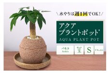 アクアプラントポット®　玉Ｓ 植木鉢パキラ（2127）