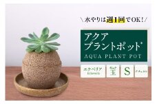 アクアプラントポット®　玉Ｓ 植木鉢エケベリア（2130）