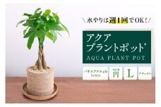 アクアプラントポット®　円Ｌ 植木鉢パキラ アクティカ（2136）