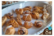 【５月～10月配送】スコーン８種ランダム詰合せ（グルテンフリー含む）（2038）