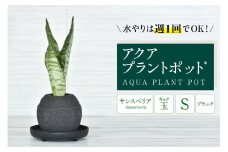 アクアプラントポット®　玉Ｓ（ブラック） 植木鉢　サンスベリア（2086）