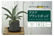 アクアプラントポット®　円Ｌ（ブラック） 植木鉢　アガベ（2102）