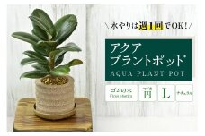 アクアプラントポット®　円Ｌ 植木鉢　ゴムの木（2103）