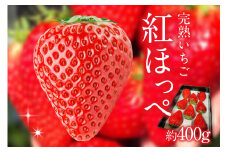 苺香の完熟いちご「紅ほっぺ」(1212)
