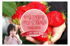 いちご狩り優待券（ペア）（3213）