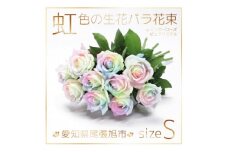 生花 レインボーローズ 花束 ピュアパステル Sサイズ : 愛知県尾張旭市 10本【1547623】