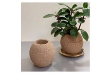 アクアプラントポットHACHI「玉(ｷﾞｮｸ)」茶