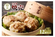 自家製特大 焼売12個セット