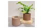 ※鉢皿・植物はセット品ではありません。