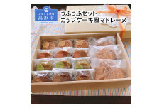 うふうふセット（カップケーキ風マドレーヌ）