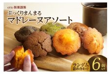 otto製菓謹製 ぷっくりまんまるマドレーヌアソート6個