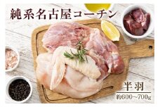 純系名古屋コーチン (半羽)｜コーチン 鶏肉 鳥肉 とり肉 塊肉 【0603】