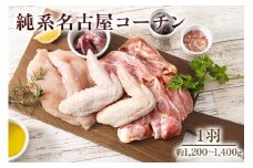 純系名古屋コーチン (1羽)｜コーチン 鶏肉 鳥肉 とり肉 塊肉 【0605】