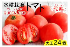 [予約受付] 水耕栽培トマト(大玉)｜甘い 新鮮 完熟 とまと 大玉 直送 野菜 リコピン サラダ イタリアン 【0621】