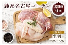 純系名古屋コーチン 定期便 (半羽×6回)｜コーチン 鶏肉 鳥肉 とり肉 塊肉 定期便 【0604】