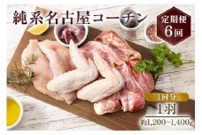 純系名古屋コーチン 定期便 (1羽×6回)【0606】