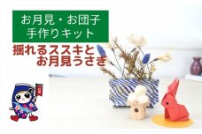 お月見・お団子 [揺れるススキとお月見うさぎ] 手作りキット・親子で作れる動画付き【0502】