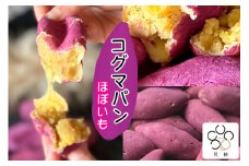 花餅sung 韓国伝統菓子 コグマパン(ほぼいも) 8個 [0693]