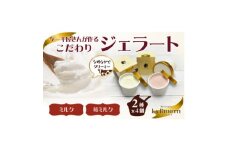 愛知県豊明市　ジェラート90ml×8個セット(リッチミルク4個&フレッシュ苺ミルク4個)【1404738】