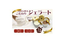 愛知県豊明市　ジェラート90ml×8個セット(リッチミルク4個&クーベルチュールショコラ4個)【1404739】