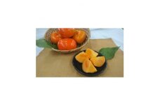 秋の味覚　とよあけしの早秋柿 7.5kg　(柿28～32個前後)【1533475】
