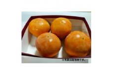 秋の味覚　とよあけしの富有柿　7.5kg(柿28～32個前後)【1533484】