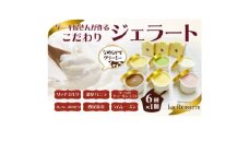 ジェラート90ml×6個セット(ミルク・バニラ・ショコラ・苺ミルク・抹茶・ラムレーズン　各1個)【1588862】