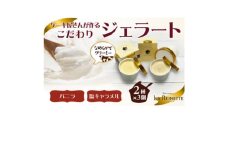 ジェラート6個入り(濃厚バニラジェラート&塩キャラメルジェラート　90ml各3個)【1589520】