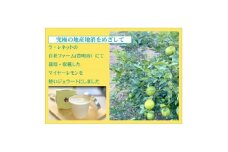 はちみつレモンシャーベット 90ml×6個【1635821】