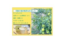 はちみつレモンシャーベット 90ml×8個【1635822】