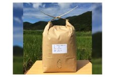自然栽培のお米　3kg（玄米） ／ 栽培期間中農薬不使用 安心 愛知県 特産品 産地直送 田原市 渥美半島