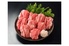 《5月末金額改定予定》伊良湖黒牛　ちょっとリッチな切り落とし　約500g ／ 牛肉 赤身肉 上質 切落し 愛知県 特産品 産地直送 田原市 渥美半島