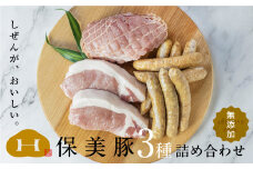 保美豚プレミアム・真空冷凍肉無添加　3品目入り×2セット ／ 豚肉 加工品 ロースカツ用 モモ ウインナー 完全薬剤不使用 愛知県 特産品 産地直送 田原市 渥美半島
