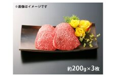 《5月末金額改定予定》伊良湖黒牛　モモステーキ3枚入り　約600g ／ 牛肉 赤身肉 上質 愛知県 特産品 産地直送 田原市 渥美半島