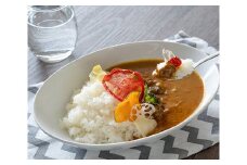 《5月末金額改定予定》田原カレーセット ／ ポークカレー ビーフカレー レトルト ドライ野菜 愛知県 特産品 産地直送 田原市 渥美半島