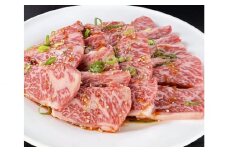 【ブランド牛】田原牛のタレ付き特選上カルビ500g ／ 牛肉 BBQ 愛知県 産地直送 田原市 渥美半島