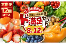 【12回定期便】 旬の野菜 フルーツ 詰め合わせ 8品～12品 セット 旬 野菜ソムリエ 厳選 野菜セット フルーツ メロン いちご トマト アスパラガス トウモロコシ 玉ねぎ 国産 人気 ランキング やさい 野菜 果物 田原市 定番 8品目 12品目 頒布会
