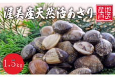 《先行予約》旬の渥美産 天然 活あさり 1.5kg 先行予約 ふるさと納税 あさり 国産 ふるさと納税 アサリ 採れたて ふるさと納税 砂抜き 海鮮 魚介類 魚介 貝 送料無料 産地直送 応援 寄附