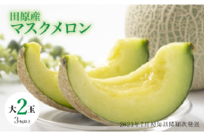 伊良湖産 マスクメロン 2玉 2023年7月以降順次発送 箱詰め メロン フルーツ 果物 8月 お取り寄せ 渥美半島 田原市 産地直送 送料無料 12000円