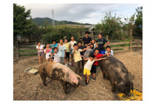 どろんこ村ファームステイ 2泊3日参加券(子ども1名様分) 自然体験 農業 食育 食べる 育てる 体験型 宿泊 田舎 田舎暮らし