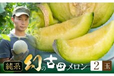 先行予約 渥美半島石井農園・純系古田メロン2玉 【2026年7月発送】 純系 箱詰め メロン フルーツ 果物 お取り寄せ 渥美半島 産地直送 幻 希少品 田原市 送料無料 20,000円