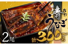 【土用の丑の日お届け/冷凍】厳選 高級 青うなぎ 2尾 蒲焼 300g